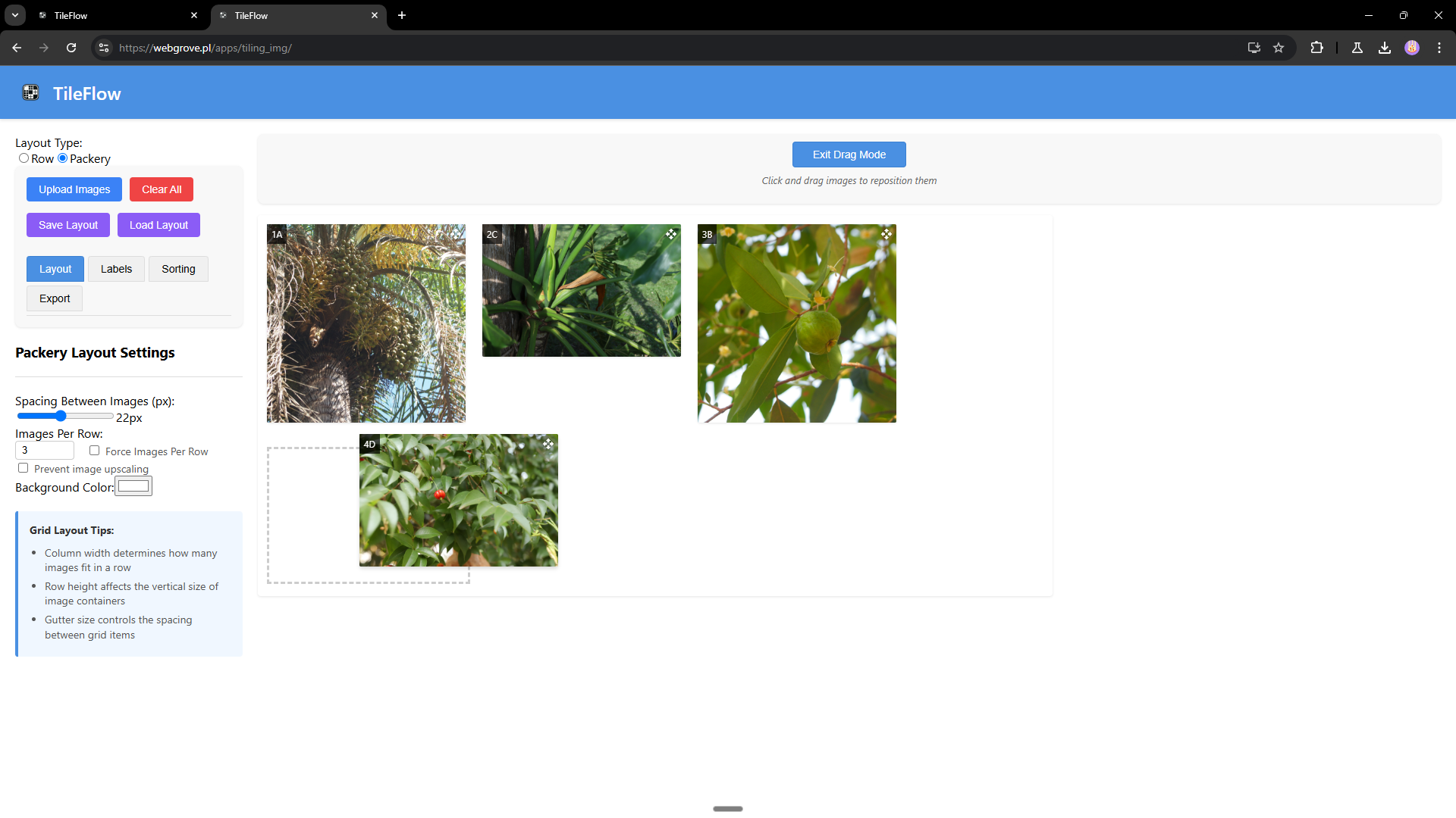 TileFlow Application Interface